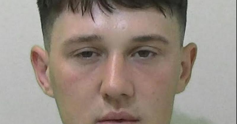 Burglar stole quad bikes worth £14,000 from remote Northumberland farm before writing one off in crash