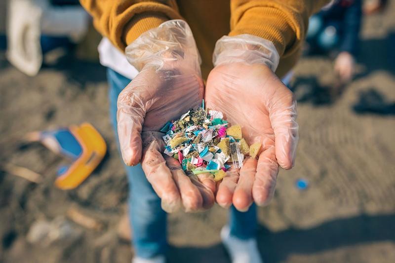 Microplastics linked to organ lesions while scientists may have found how to clean them from nature