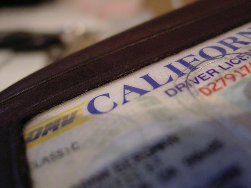 Providing driver’s licenses to undocumented immigrants improves birth outcomes, research shows