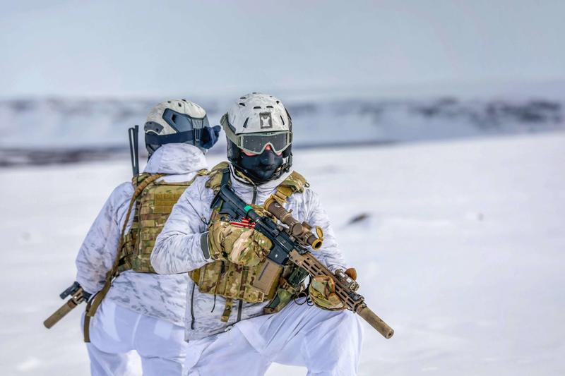 America's Arctic Troops in Greenland Go To Diversity Training