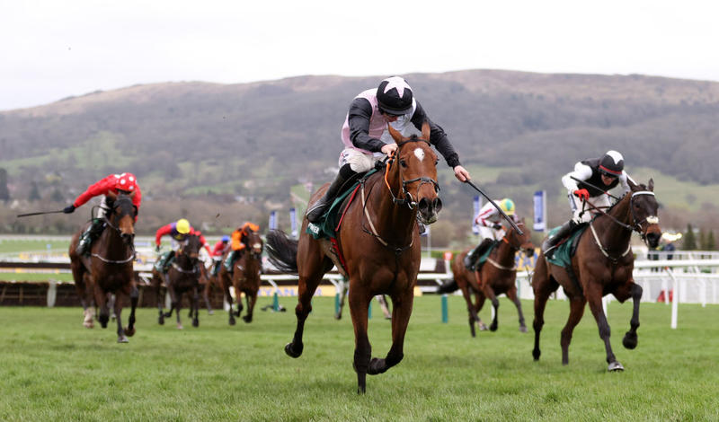 Three bets for Cheltenham Festival