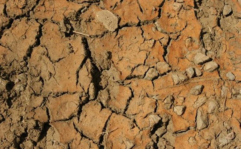 The Drought That Felled Assad – OpEd