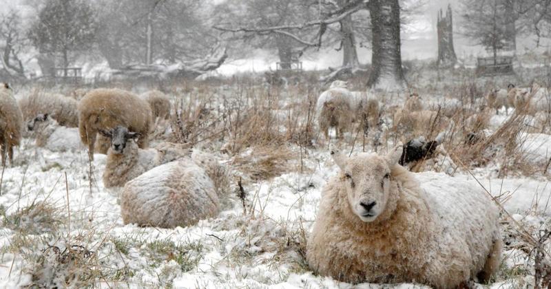 Temperatures drop to -7.5C as Norfolk has coldest night of winter so far