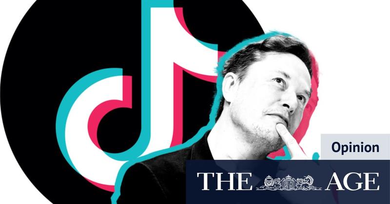 Elon Musk might decide if TikTok has a future in the US