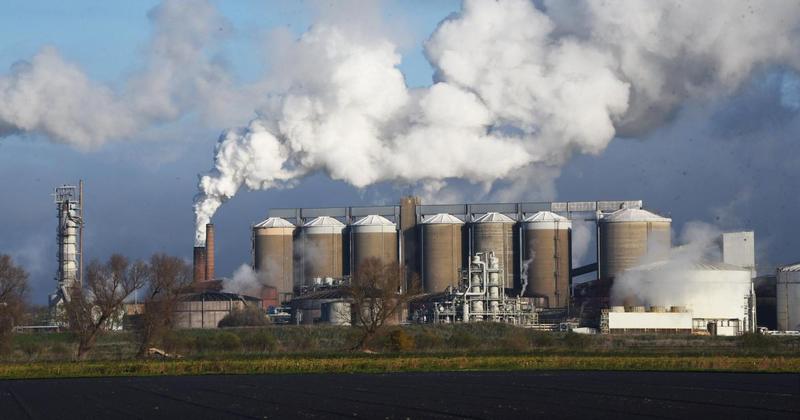 British Sugar factories sliced a million tonnes of beet in three weeks this Christmas