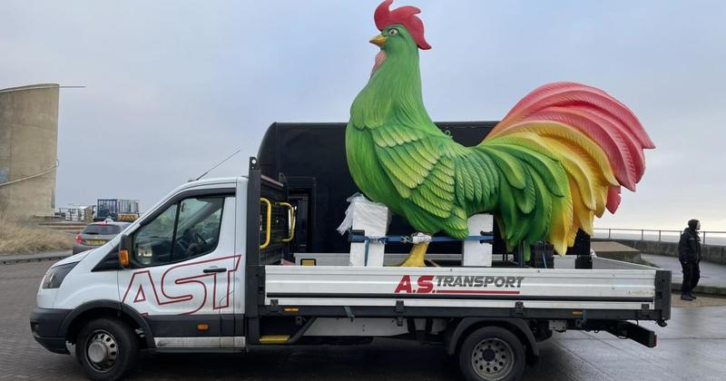 Giant cockerel hits the road after just 24 hours