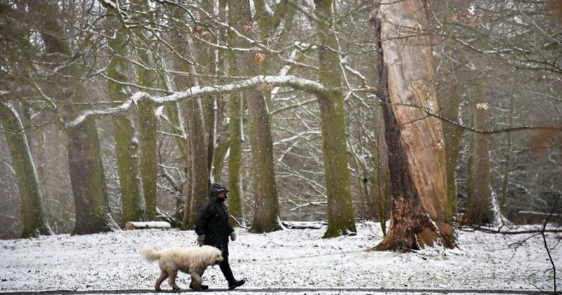 Cold weather health alert issued for Norfolk