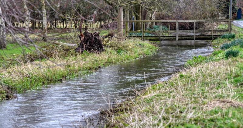 Norfolk's average rainfall dropped in 2024 despite record-breaking downpours