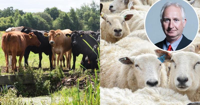 Disease risk raised for UK farms after 'worrying' foot and mouth outbreak in Germany