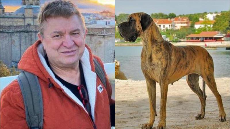 Patrizio Donati, il veterinario morto a Cerro Maggiore: nessuna autopsia. “Ucciso dai suoi cani mentre ne curava uno malato”