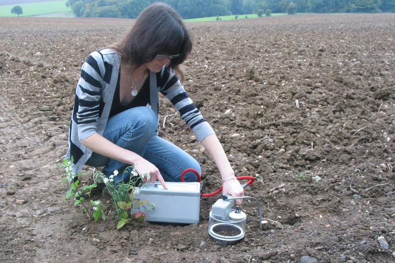 La agricultura del carbono podría ser un negocio viable en el Mediterráneo