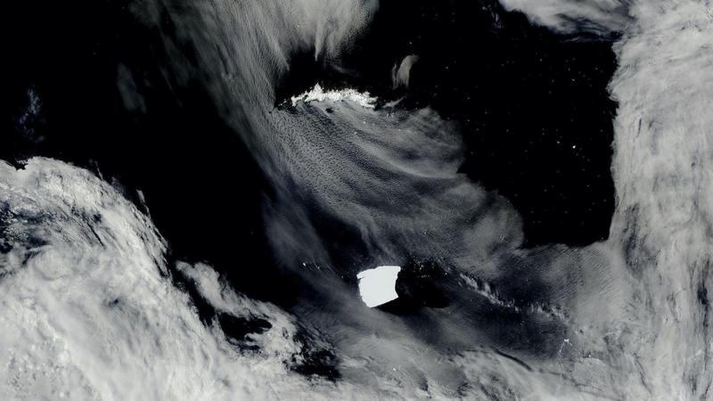 World’s largest iceberg moves toward an island off Antarctica where millions of penguins live