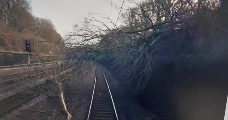 Trains between Norwich and London cancelled due to fallen tree