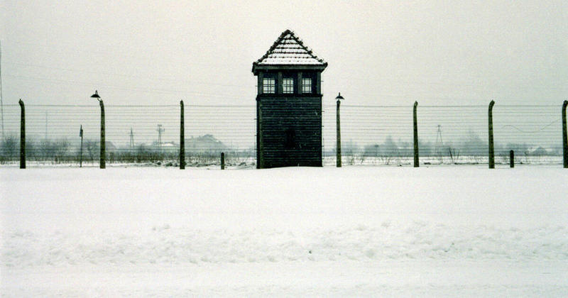 Témoignages d’Auschwitz : 80 ans après, une parole plus que jamais vitale