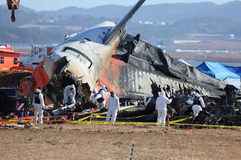 Incidente aereo in Corea del Sud, piume e sangue nei motori. Ipotesi bird strike sempre più probabile