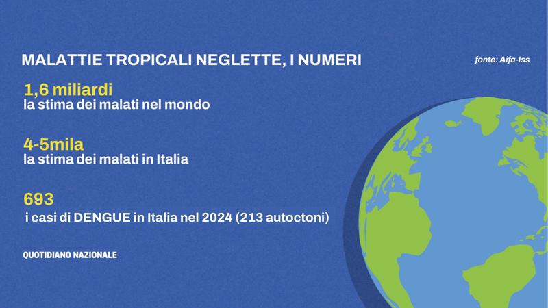 Emergenza malattie tropicali neglette in Italia. “Con il caldo gli insetti aumentano i pasti di sangue”