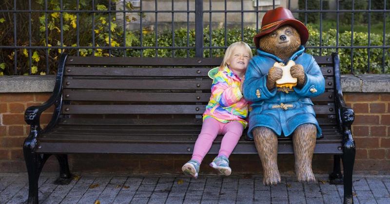 Where should the new Paddington Bear statue be in Norwich?