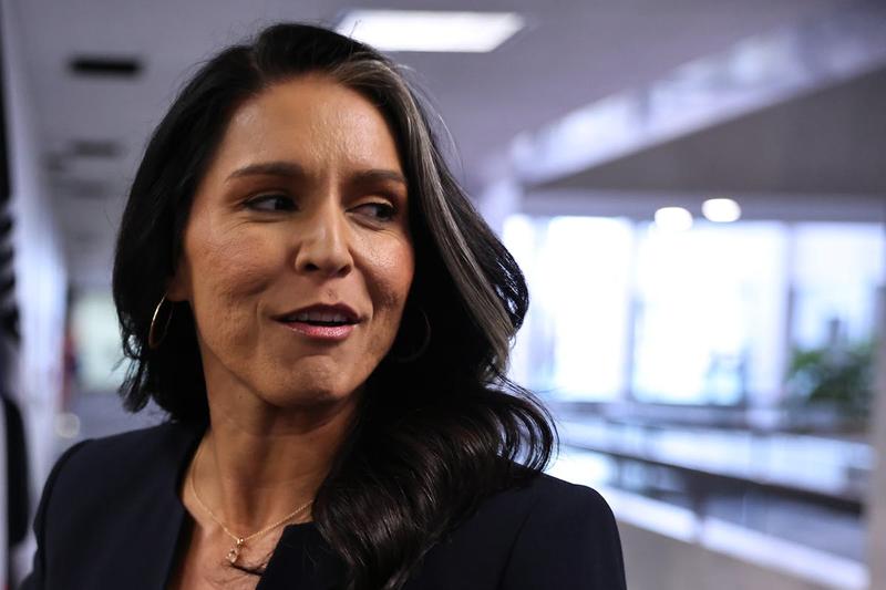 Trump Allies Push Extreme Measure to Force Tulsi Gabbard Through