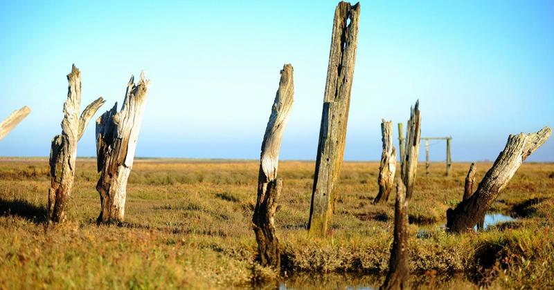 Experience at Norfolk beauty spot named among UK's most 'invigorating'