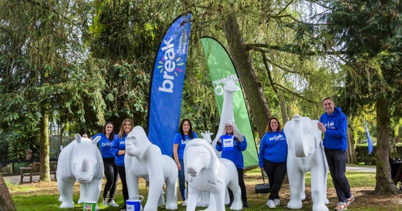 Date announced for this year’s GoGoSafari trail - and how YOU could get a front seat