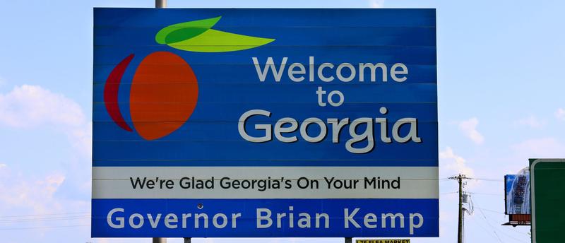 LT. GOV. BURT JONES: Georgia Needs Its Own DOGE