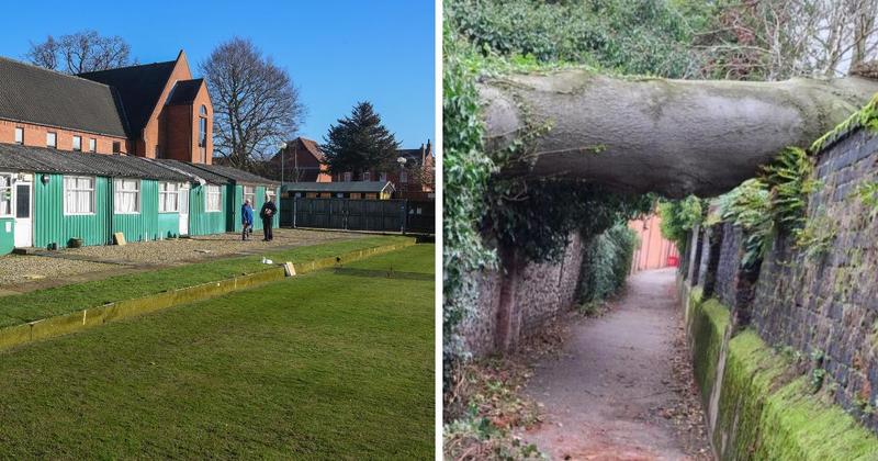 Bowls club calls in lawyers amid row over fallen tree