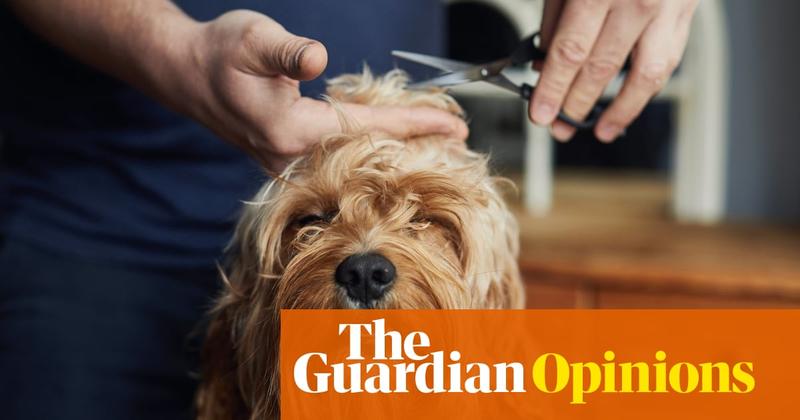 Why do so many people dream of being dog groomers? Haven’t they seen the toll it can take?