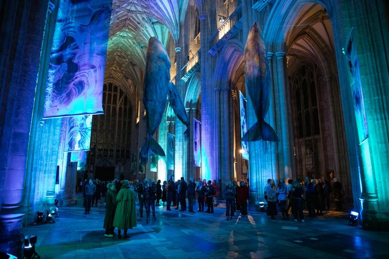 Art, music and science combine at a new whale exhibition at Winchester Cathedral