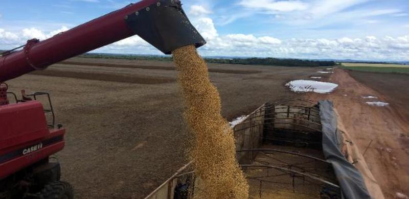 Clima pressiona alimentos e ameaça futuro do governo Lula