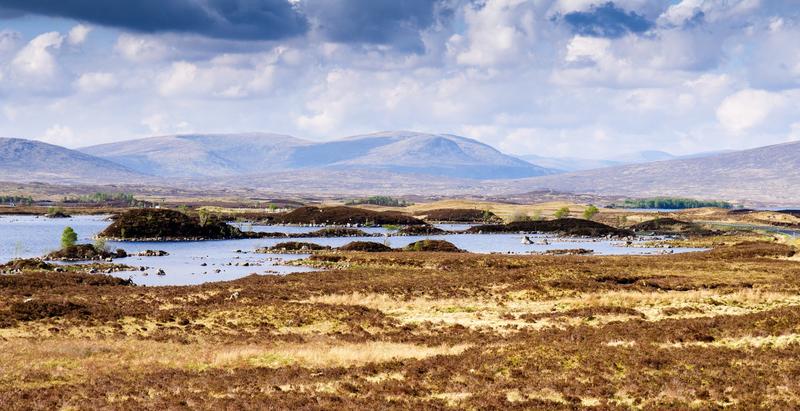 Most of Britain’s peat bogs could stop forming new peat as the climate changes – new study