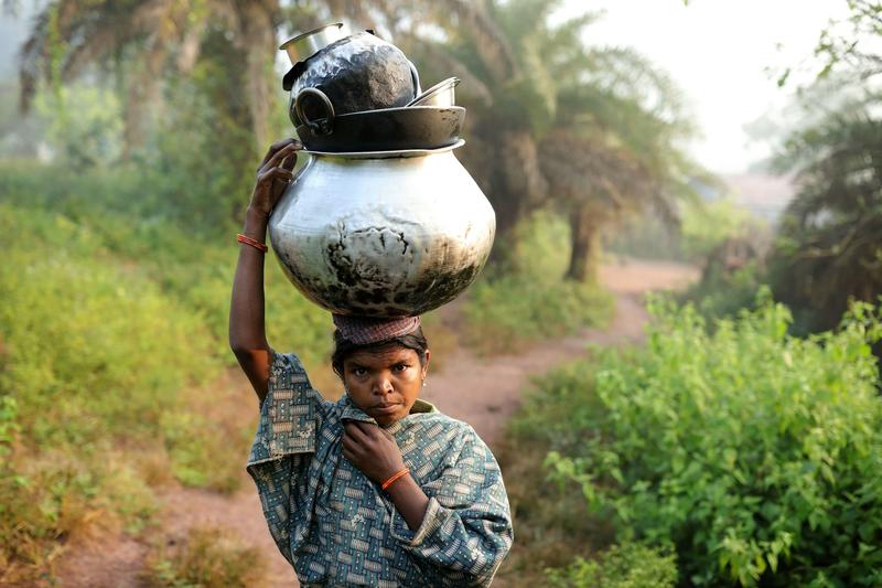 Central India’s indigenous forests are falling victim to bullets and bulldozers