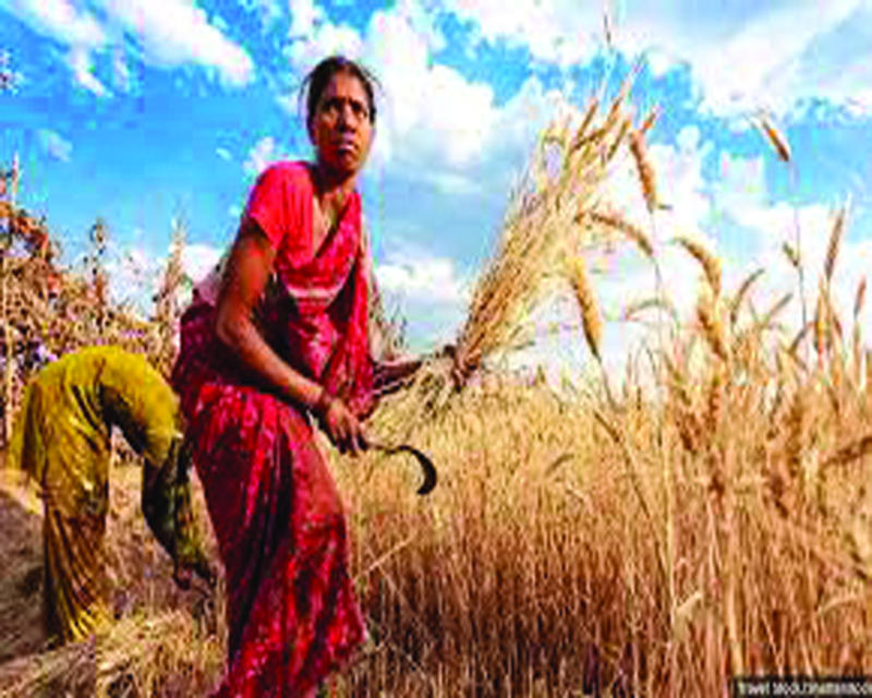 Budget 2025: Paving the way for a sustainable, inclusive and innovative agriculture