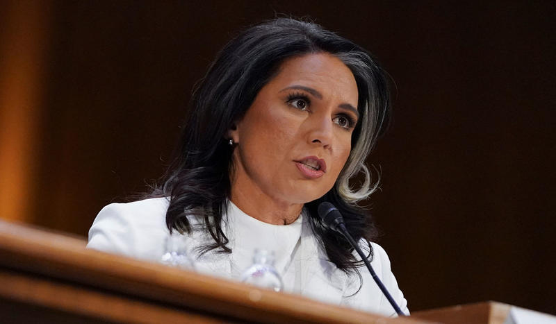 What Exactly Are People Mad at Tulsi Gabbard for Doing?