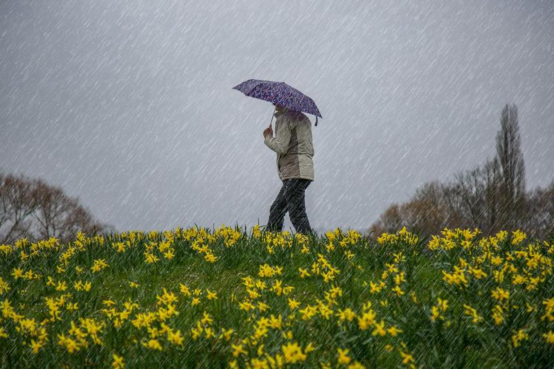 Can aching joints really predict the weather? Exploring the science behind the stormy debate