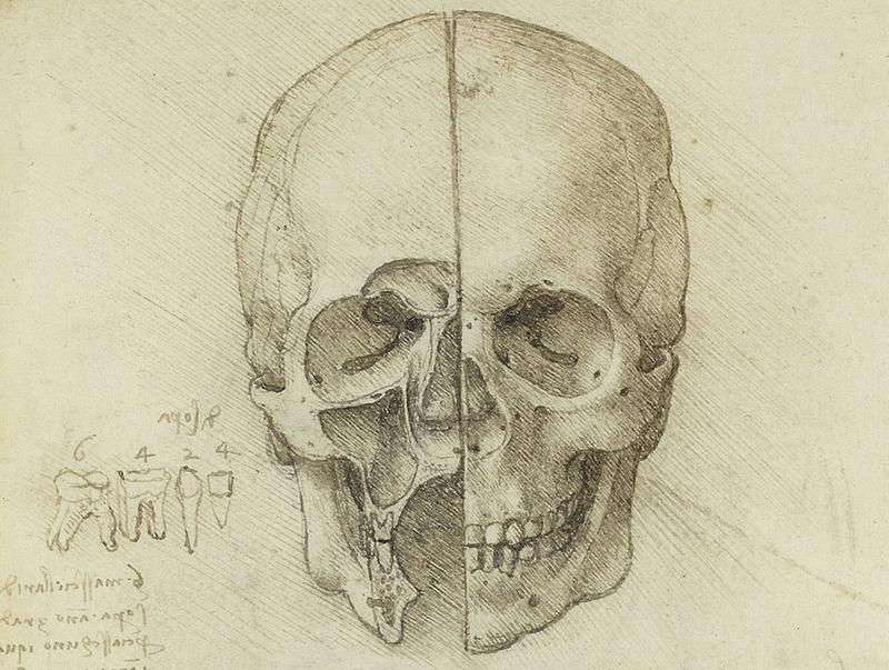 Leonardo da Vinci’s incredible studies of human anatomy still don’t get the recognition they deserve