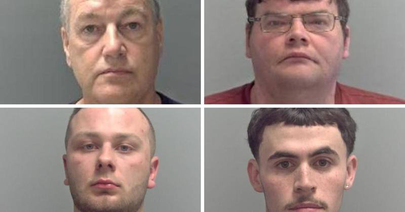 7 criminals put behind bars in Norfolk last month