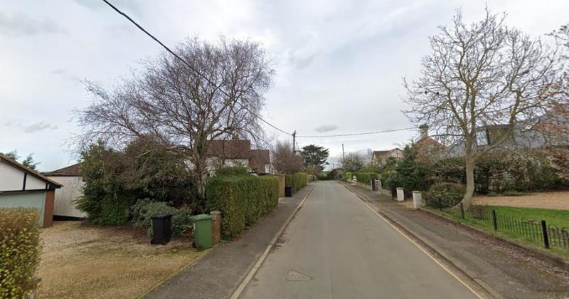 Plans for car port on village's 'millionaire's row' turned down over fears for tree