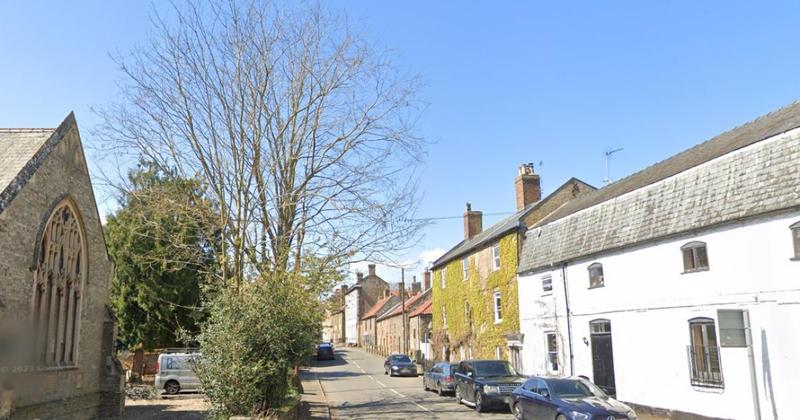 Bid to fell fast-growing tree 'causing worry' in village