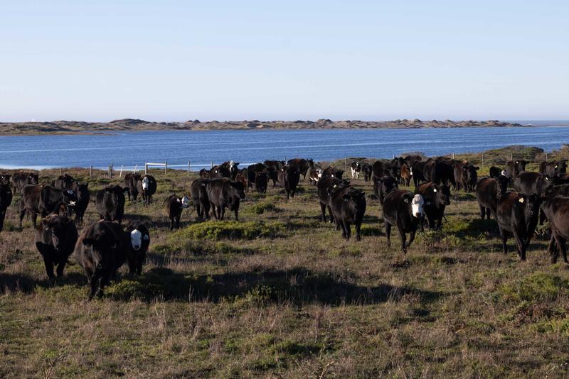 A win for environmentalists at Point Reyes is a loss for almost everyone else