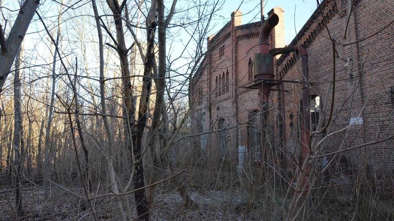 Erstmals Bewegung im Erfurter Bahnhallen-Quartier: Bäume werden gefällt