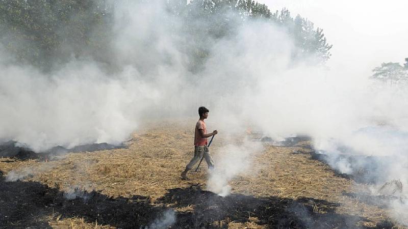 Air pollution: Supreme Court directs CAQM to hold meeting with Punjab, Haryana, UP on stubble burning