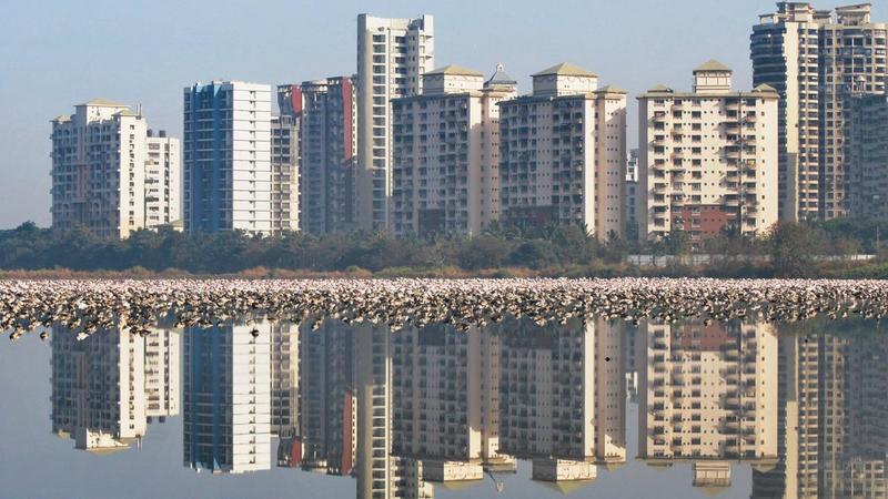 The cost of ignoring our wetlands