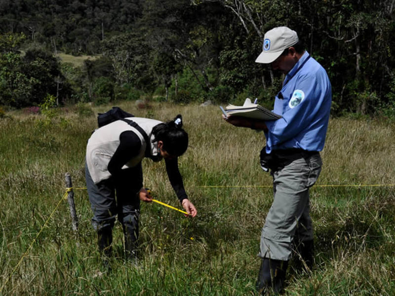 Guerra entre disidencias arriesga a guardabosques y ONG en la Amazonía 