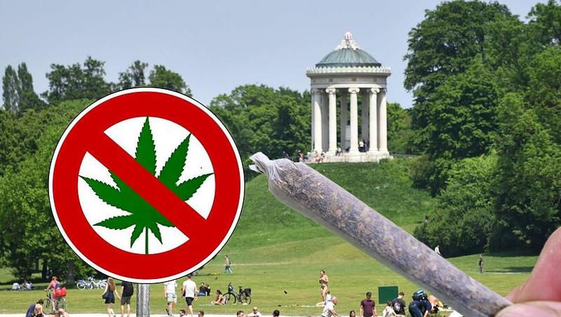 Cannabis: Warum MÃ¼nchens Sonderweg richtig ist, aber Grenzen hat