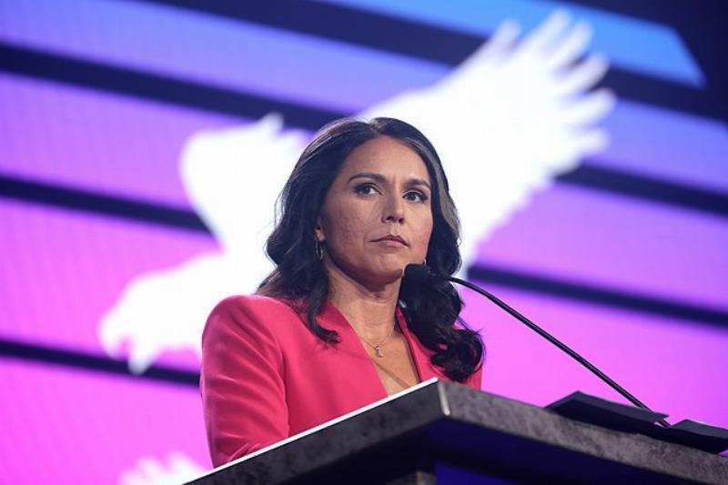 Tulsi Gabbard, the Smear Machine, and the Battle for America’s Intelligence Integrity