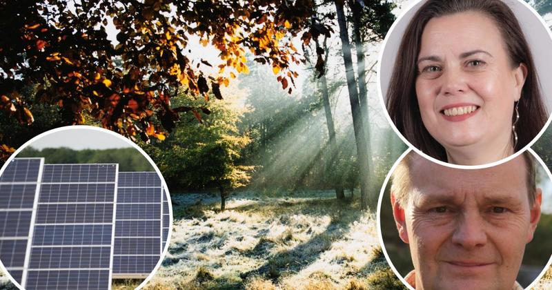 New call to create huge solar farm in Thetford Forest to save farmland from panels