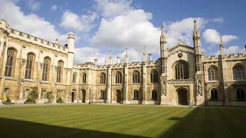 I haven't set foot in my old Cambridge college for years. So why do I feel such irrational shame when drunken students run amok?