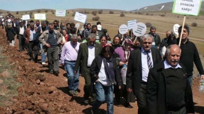 Karıncanın kardeşi var!