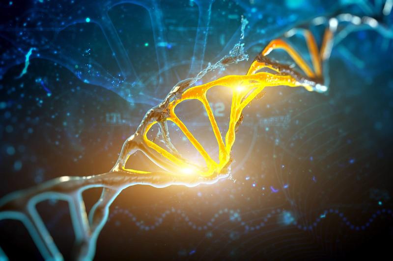 Sem rumos pré-definidos, vida evoluiu por rotas moleculares facilitadas