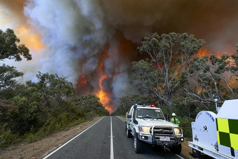 Grampians National Park is still burning – here’s what we can expect will survive and recover